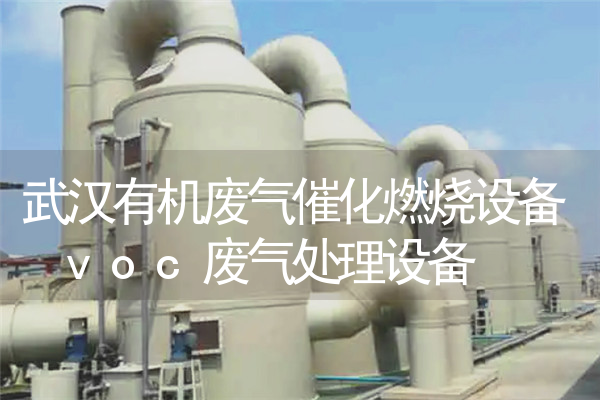 武汉有机废气催化燃烧设备 voc废气处理设备